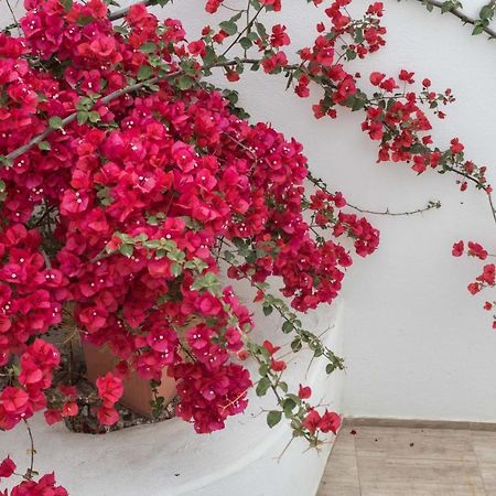 Depis Apartments & Suites Naxos City Екстериор снимка