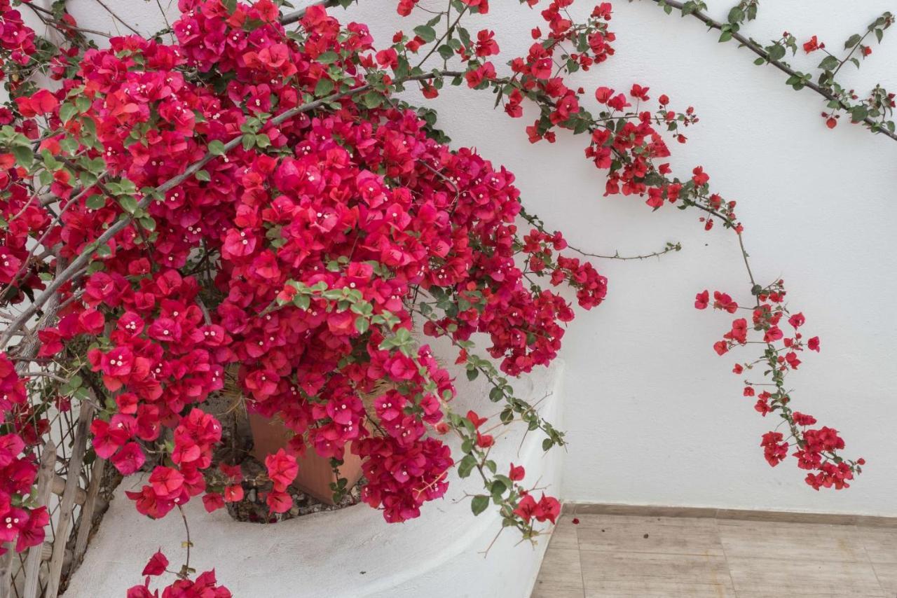 Depis Apartments & Suites Naxos City Екстериор снимка